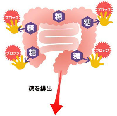 ���̋z�����u���b�N