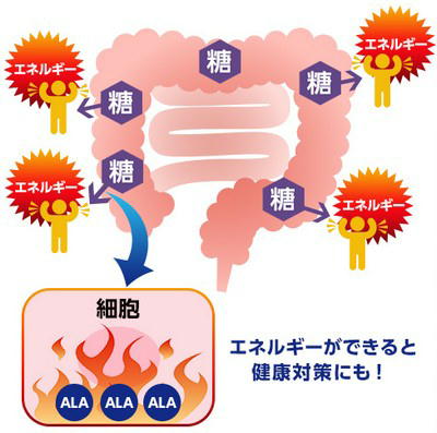 ����R�Ă�����